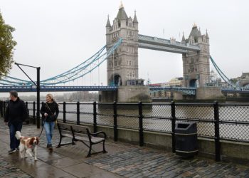 Британцы с «пугающей скоростью» стали отказываться от собак из-за кризиса