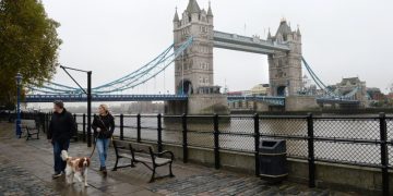 Британцы с «пугающей скоростью» стали отказываться от собак из-за кризиса