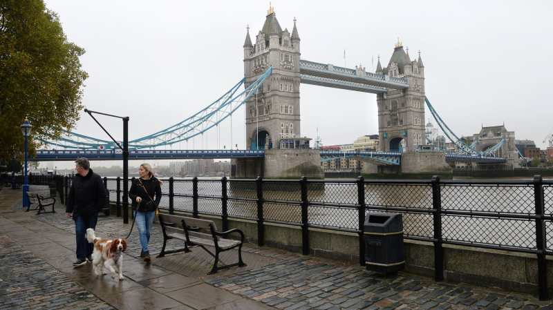 Британцы с "пугающей скоростью" стали отказываться от собак из-за кризиса