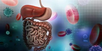 Доктор назвал лучшие способы улучшить пищеварение