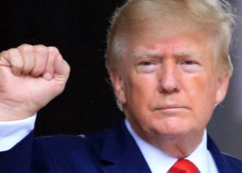 «Голос народа — голос Бога». Маск разбанил Трампа в Twitter