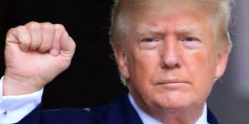 «Голос народа — голос Бога». Маск разбанил Трампа в Twitter