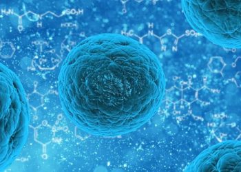 Исследователи выяснили, как вирусы проникают в наш организм