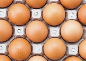 Из британских супермаркетов пропали куриные яйца