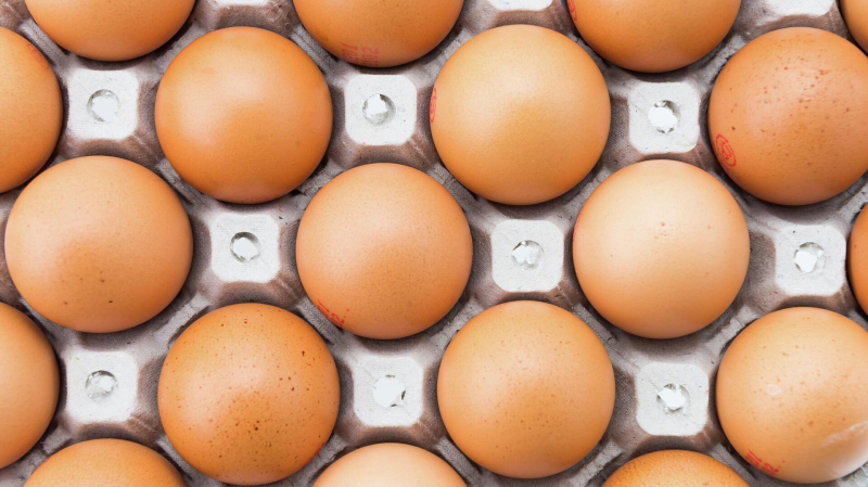 Из британских супермаркетов пропали куриные яйца