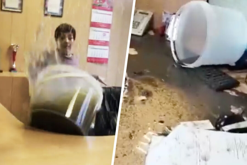 &laquo;Я хотела отдать им фекалии. Но ведро проскользнуло и опрокинулось&raquo; 