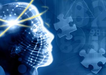 Какие продукты улучшают память и предотвращают психические проблемы