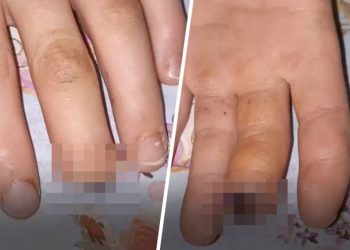 «Привезли ребенка и отдельно пальчик в пакетике». Что произошло в школе под Иркутском