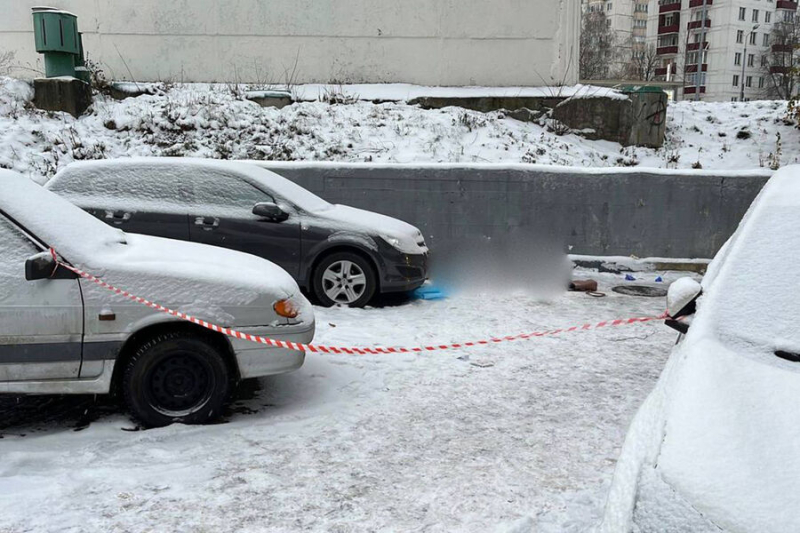 &laquo;Звонила в&nbsp;полицию, говорила о&nbsp;преследовании&raquo;. Что известно об убийстве девушки в&nbsp;Зюзино 