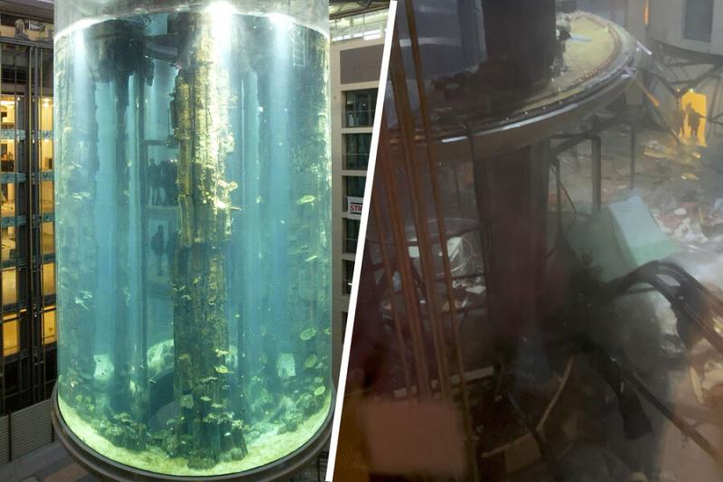 &laquo;Дико жаль рыб&raquo;. В&nbsp;Берлине лопнул самый большой в&nbsp;мире цилиндрический аквариум 
