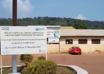 «Контузия и потеря крови». Что известно о покушении на главу Русского дома в Банги