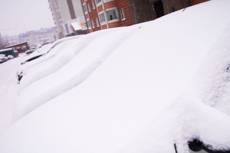 «Люди по пояс в снегу». Погода в Москве может побить рекорд 1941 года