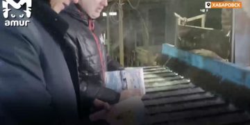 Не читали, но рвали. В Хабаровске уничтожили тираж книг, которые обвинили в пропаганде ЛГБТ