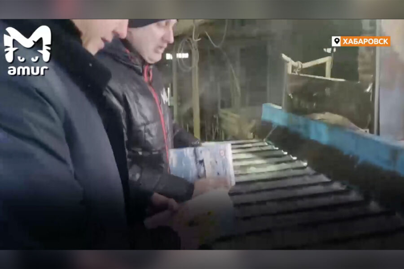 Не читали, но рвали. В&nbsp;Хабаровске уничтожили тираж книг, которые обвинили в&nbsp;пропаганде ЛГБТ 