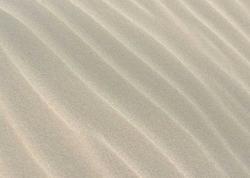 Песок может помочь в борьбе с ожирением