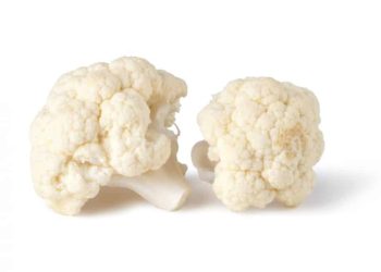 Пробиотики или ферментированные продукты: что лучше для вашего здоровья