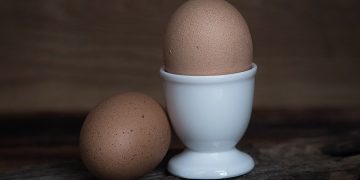 Протеиновый коктейль или продукты, богатые белком: эксперт рассказал, что полезнее