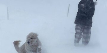 Снежная буря убила 27 человек. Стихия ударила по США