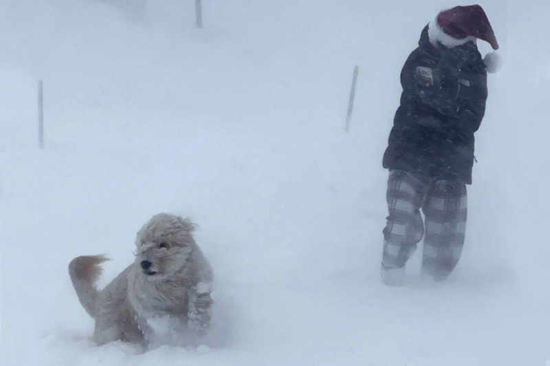 Снежная буря убила 27 человек. Стихия ударила по США