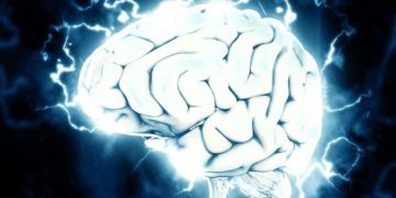 Ученые назвали легкий способ замедлить старение мозга