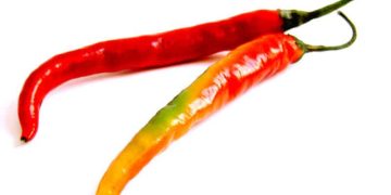 Ученые выяснили, что перец чили может продлить жизнь и уберечь от болезней