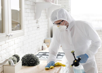 Дезинсекция квартир от тараканов в Москве: полный гайд