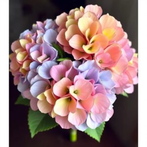 Букеты с гортензиями: критерии выбора