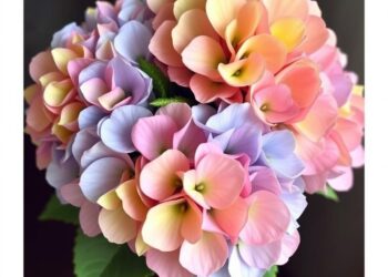 Букеты с гортензиями: критерии выбора