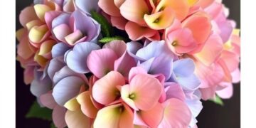 Букеты с гортензиями: критерии выбора